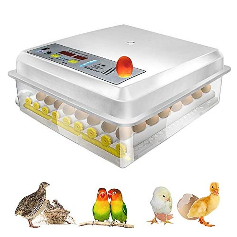 safego 自動孵卵器