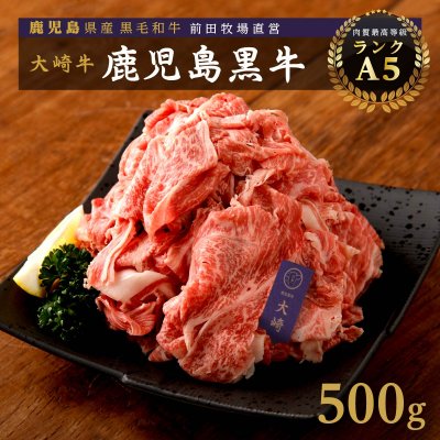 鹿児島県産黒毛和牛！A5等級の切り落とし 約500g 【前田畜産たかしや】