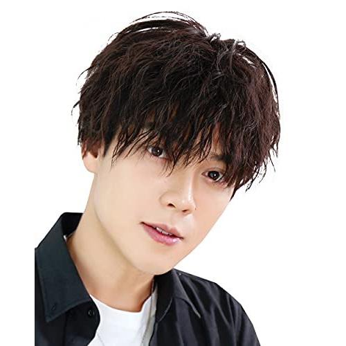 TefuRe メンズ ショート ウィッグ MEN-004-N-BLK