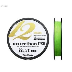 その他フィッシング