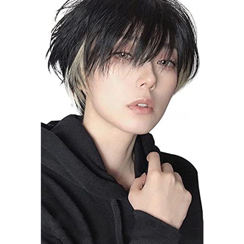 FESHFEN メンズウィッグ 553059700