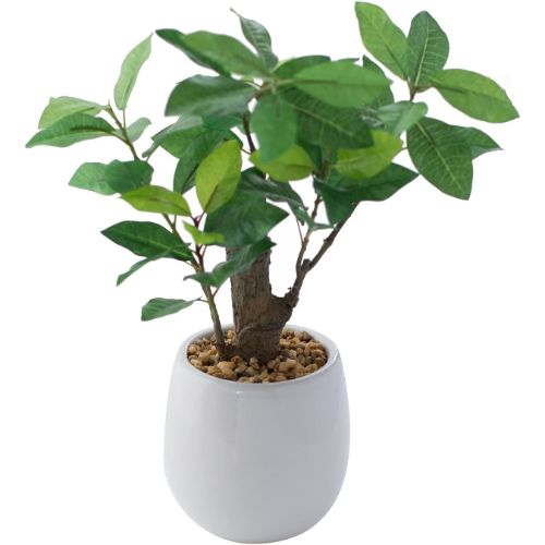 神戸花物語 レモンツリーポット MH-1006