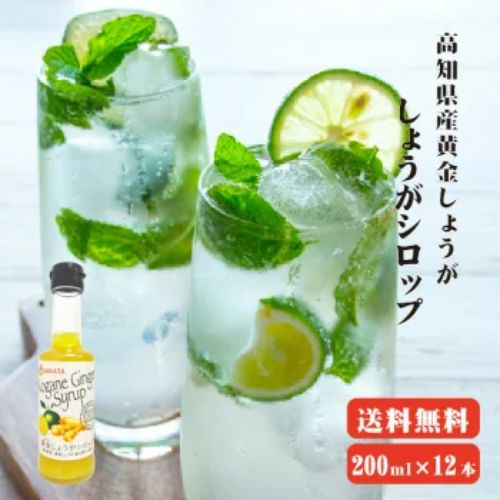 坂田信夫商店 黄金しょうがシロップセット 200ml×12