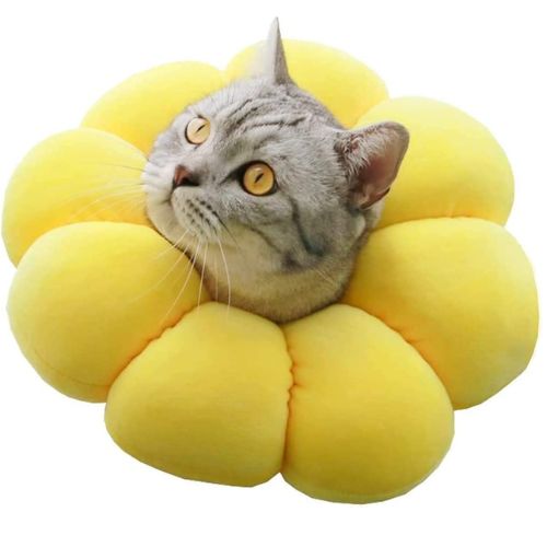 ペット介護・看護