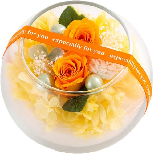 Ruplan プチヴェールローズ プリザーブドフラワー pf-pvr052