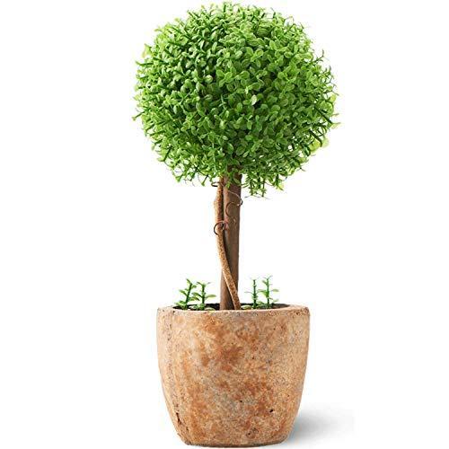 TMPRIME 観葉植物