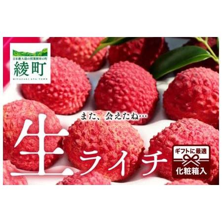 宮崎県綾町 希少 生ライチ