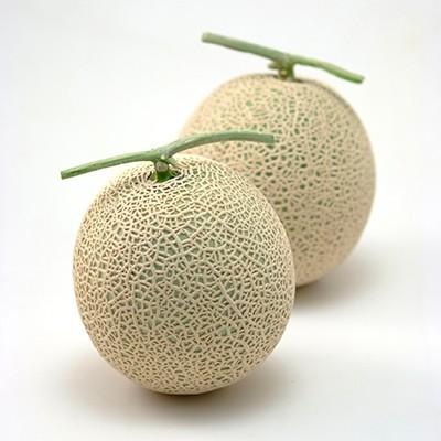 高知県南国市 ご家庭用マスクメロン 2個